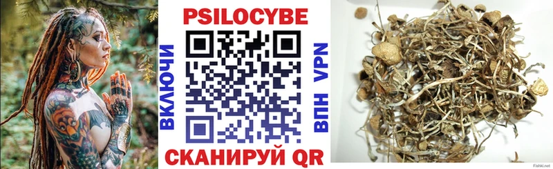 Галлюциногенные грибы Cubensis маркетплейс состав Мамадыш наркота